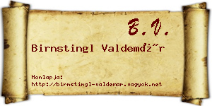 Birnstingl Valdemár névjegykártya